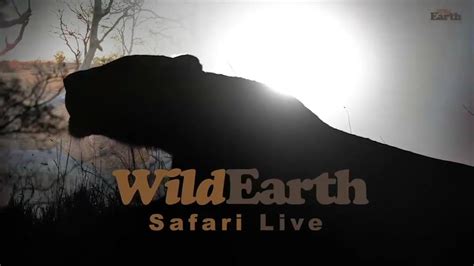 rube safari|WildEarth Safari Live